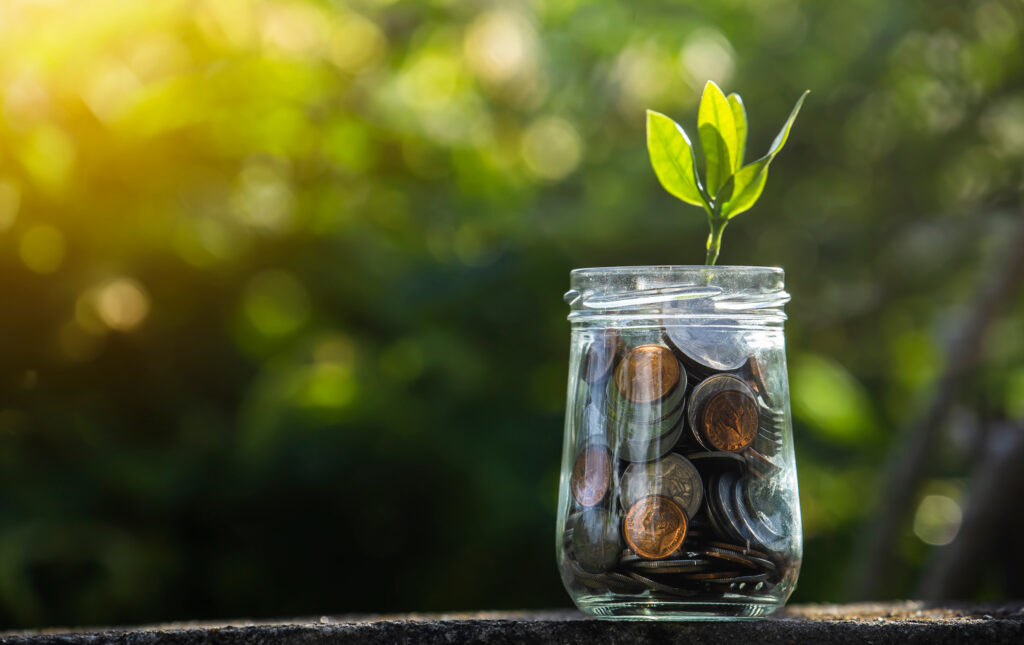 Duurzaam Beleggen: Investeer in een Groene Toekomst